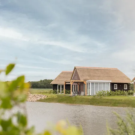 Thatched In A Villa *